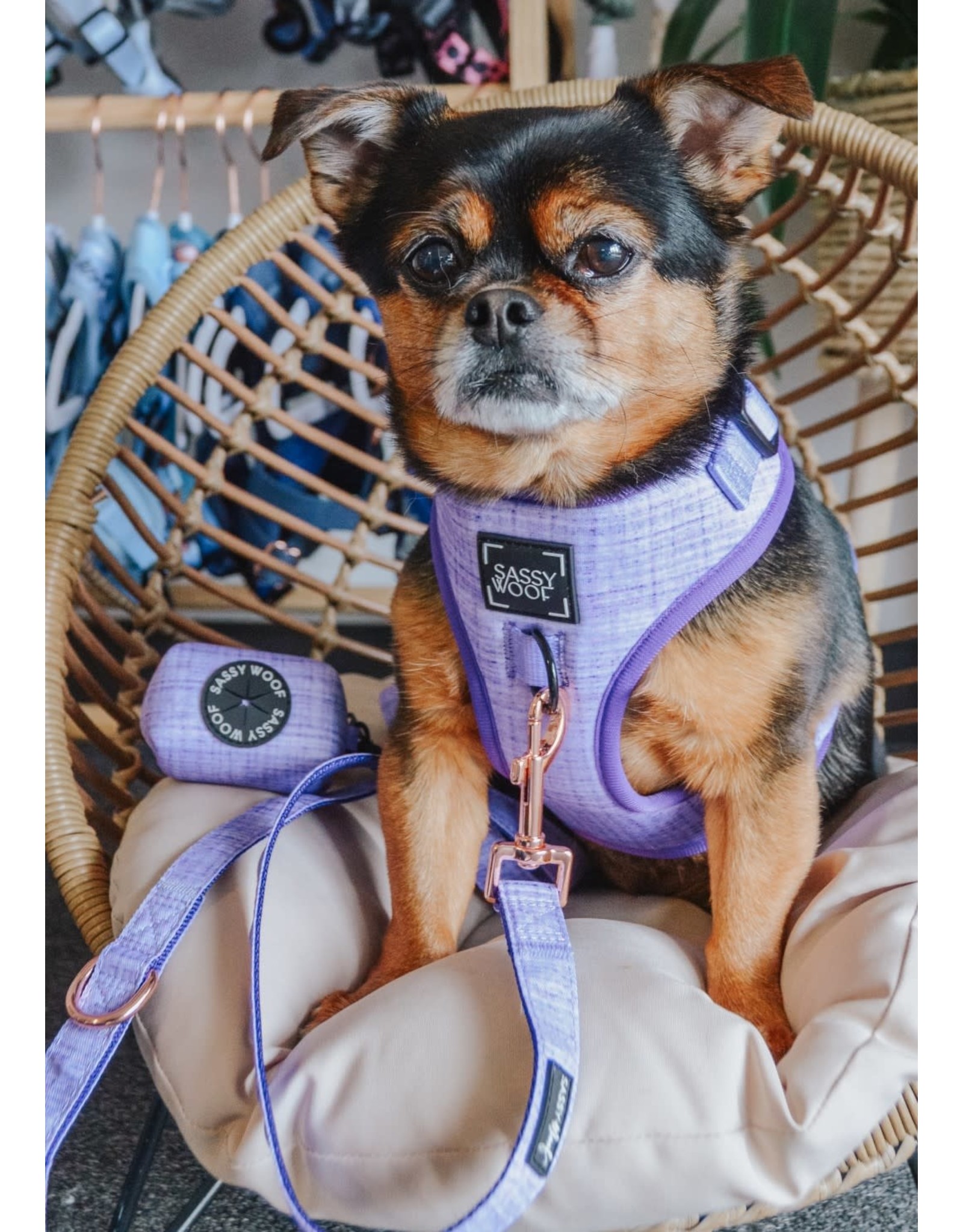 Sassy Woof 'Aurora' Dog Fabric Leash