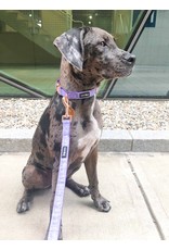 Sassy Woof 'Aurora' Dog Fabric Leash