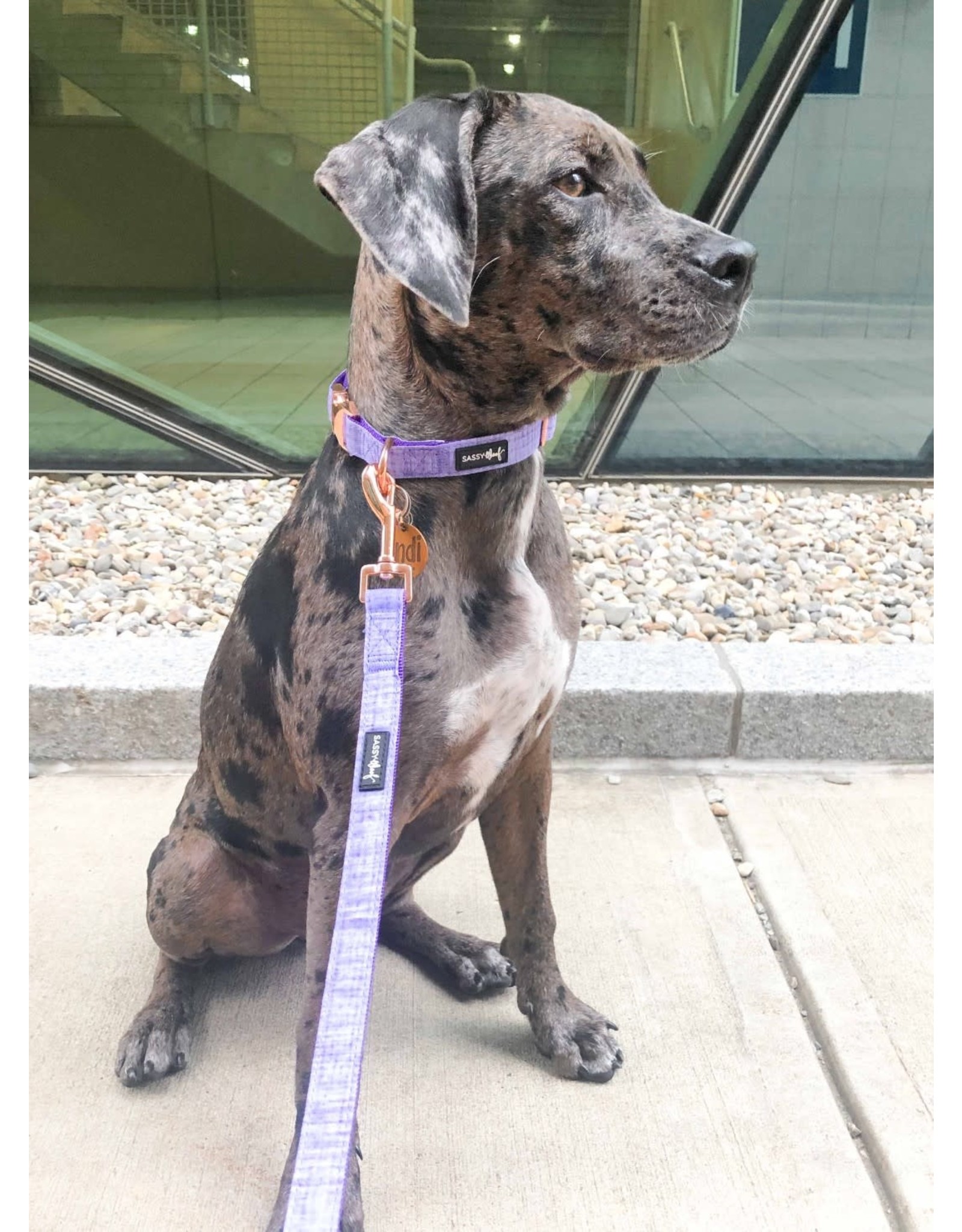 Sassy Woof 'Aurora' Dog Fabric Leash