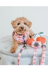 Sassy Woof 'Mon Cherry' Dog Fabric Leash