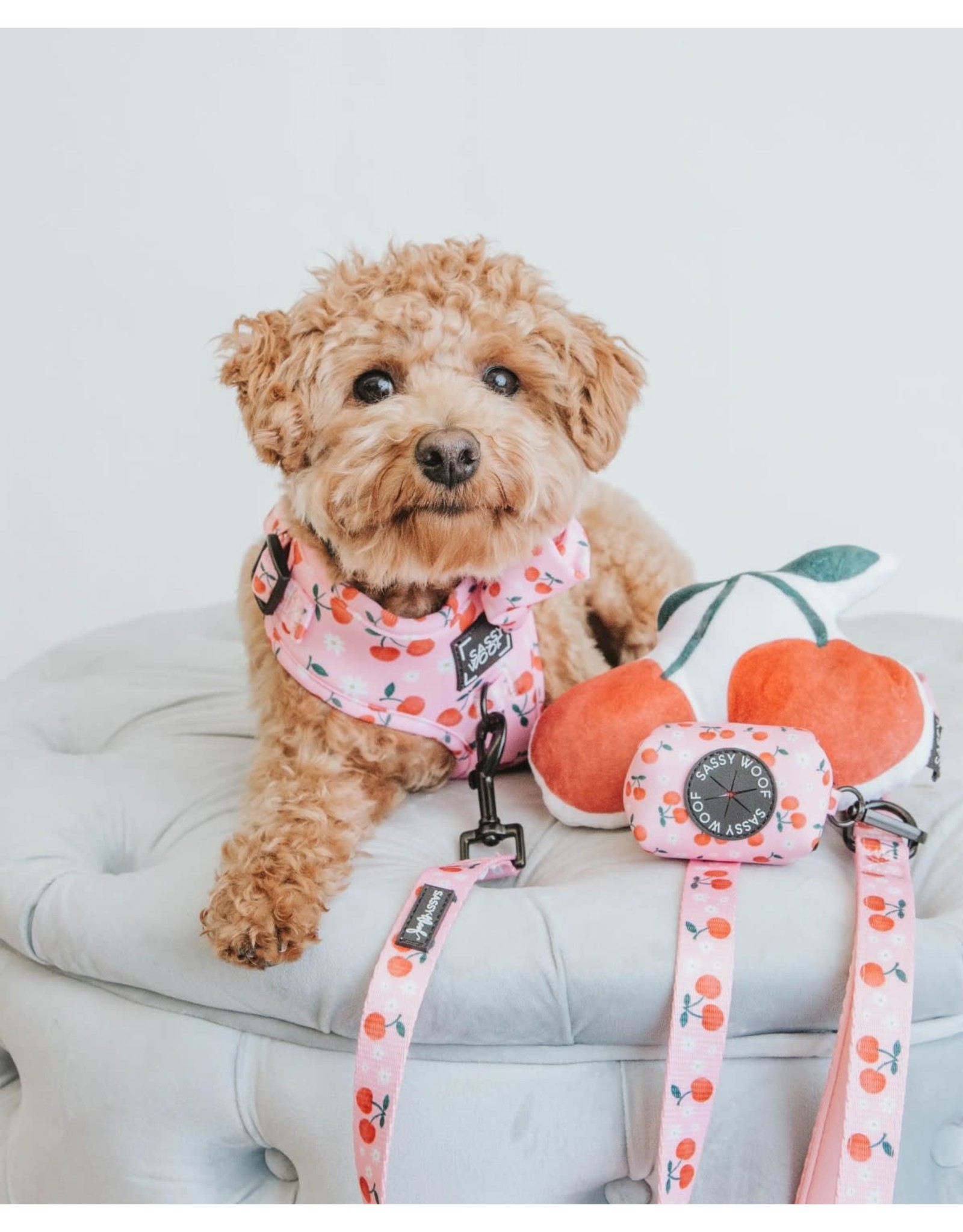 Sassy Woof 'Mon Cherry' Dog Fabric Leash
