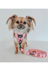 Sassy Woof 'Mon Cherry' Dog Fabric Leash