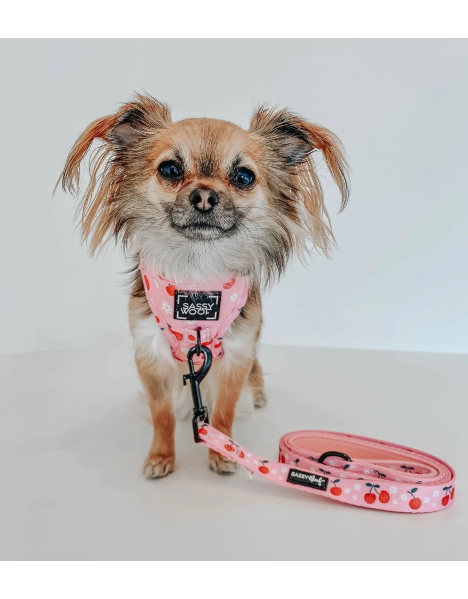 Sassy Woof 'Mon Cherry' Dog Fabric Leash