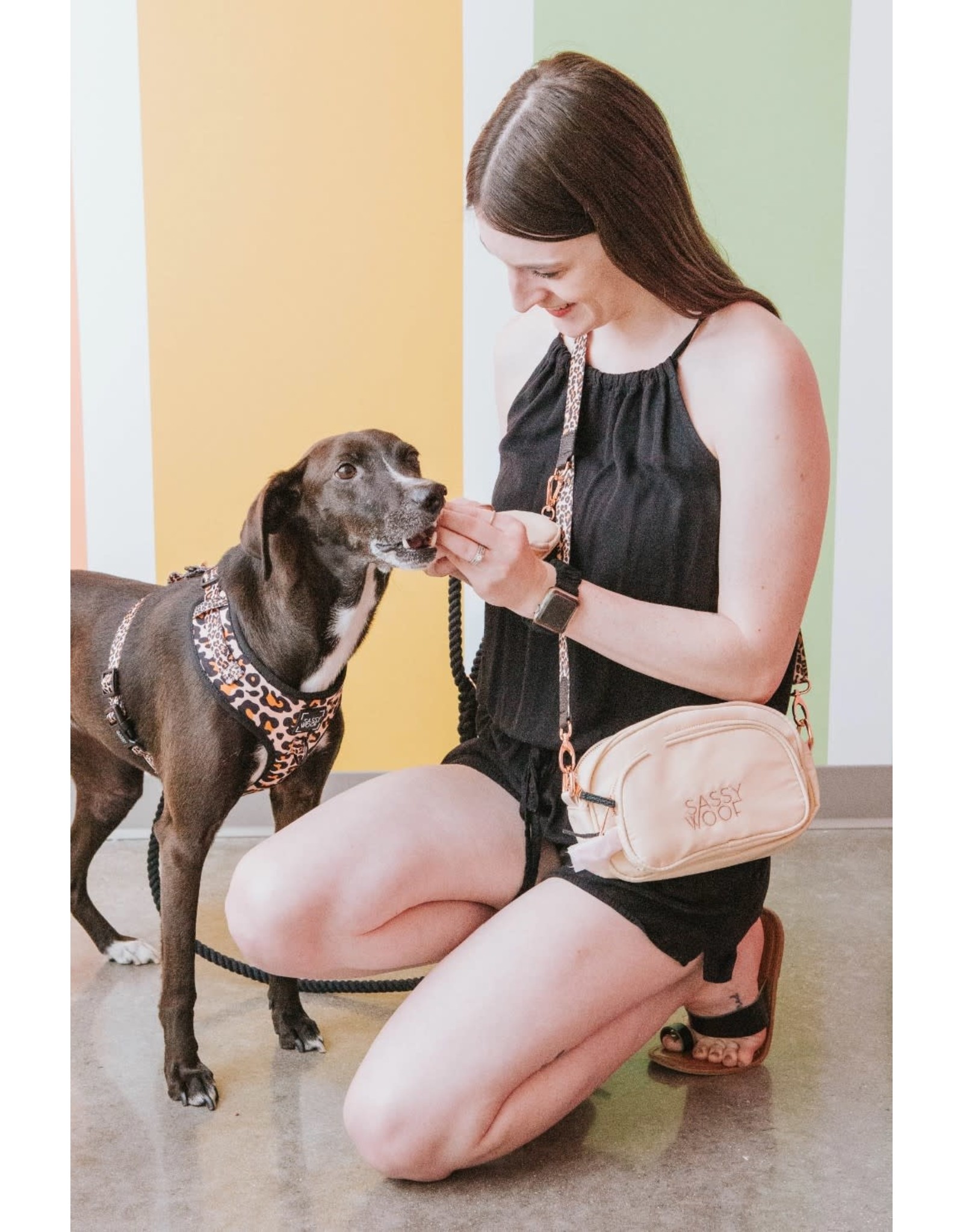 Sassy Woof Walk & Woof Crossbody Bags