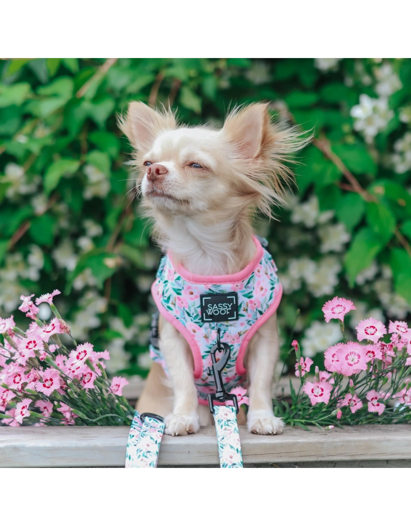 Dog Adjustable Harness - Dainty Daisy