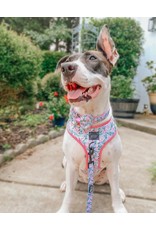Sassy Woof 'Magnolia' Dog Collar