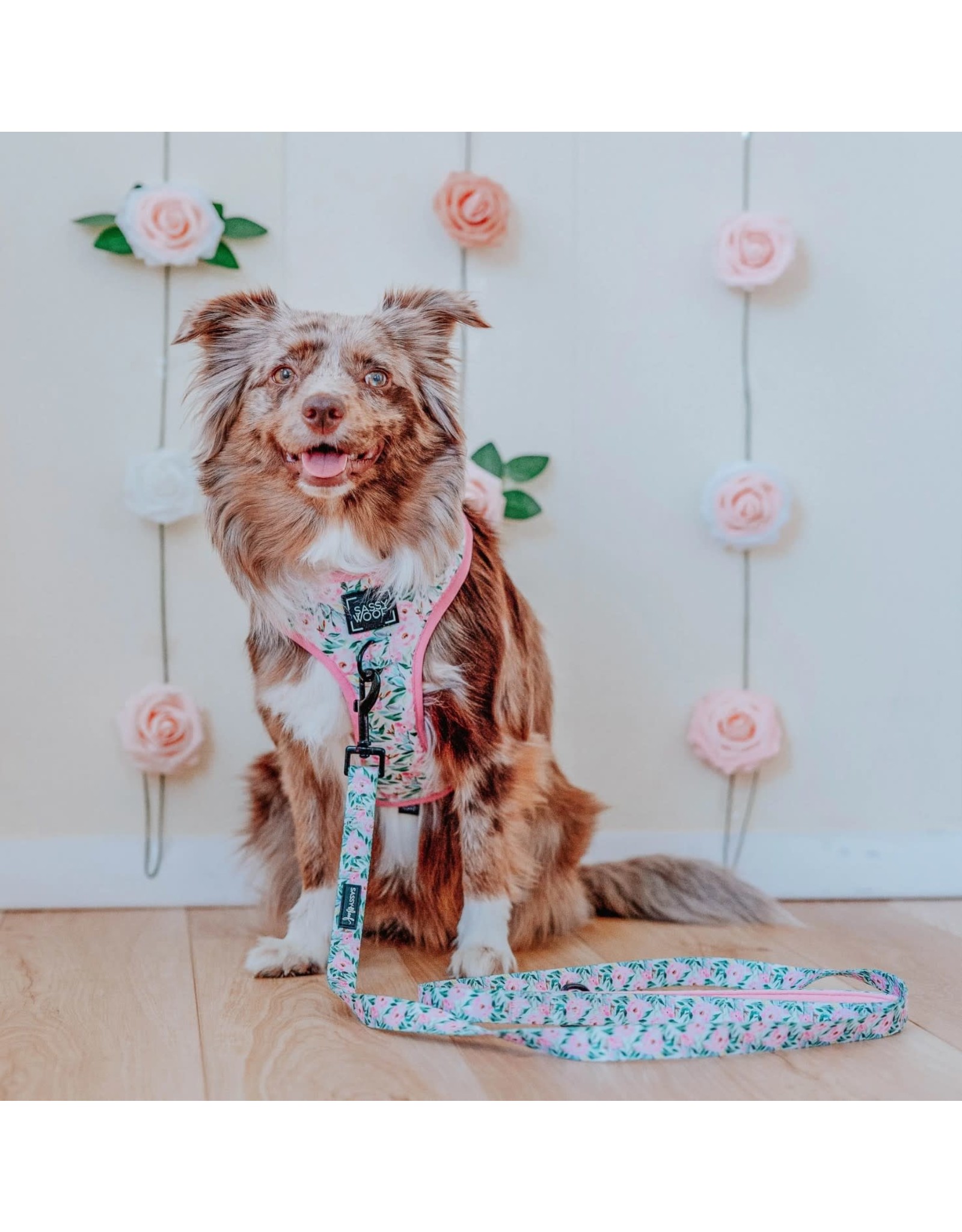 Sassy Woof 'Magnolia' Dog Fabric Leash