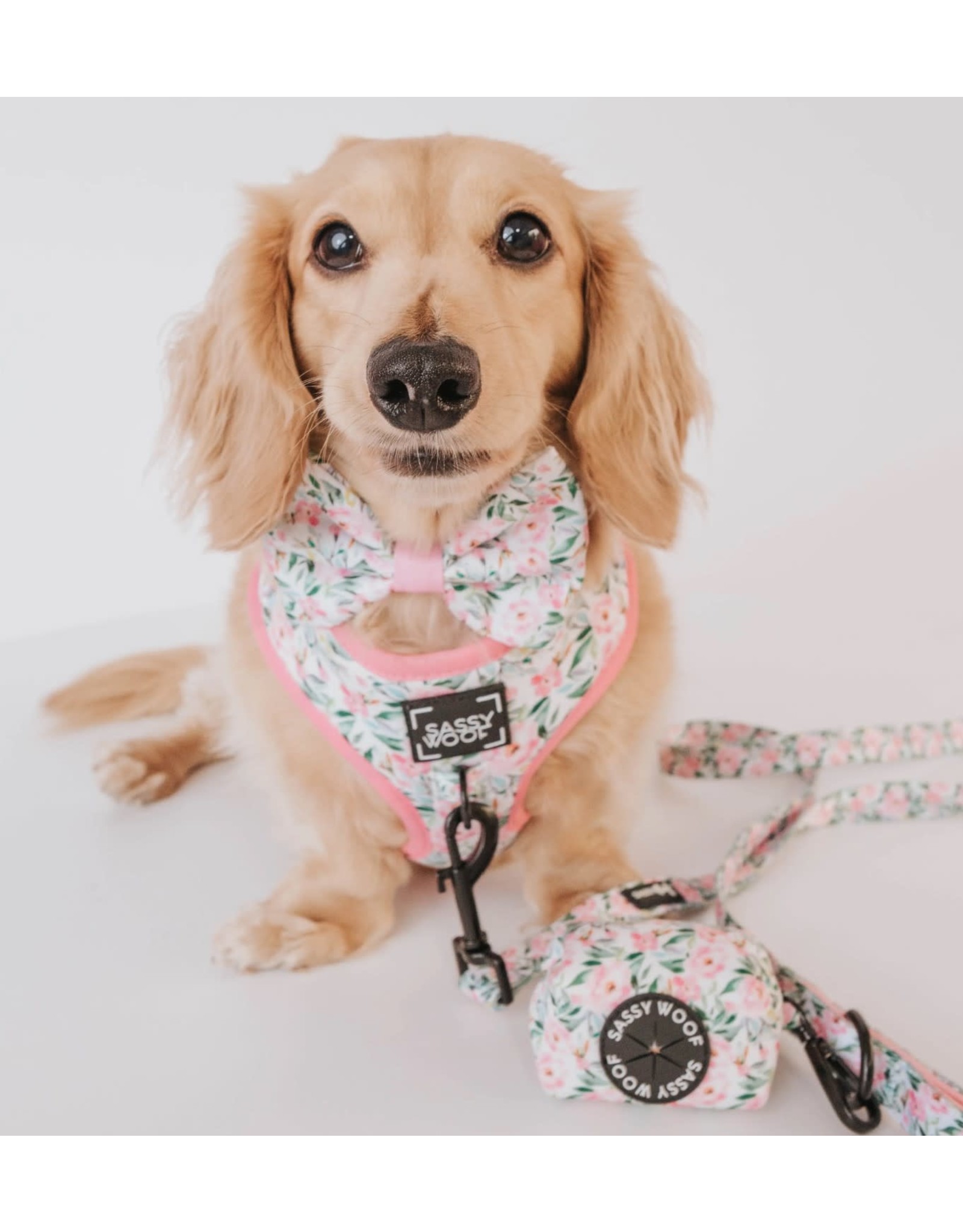 Sassy Woof 'Dainty Daisy' Dog Fabric Leash - Pawtero