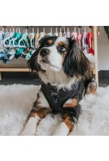 Sassy Woof 'Baby got Black' Adjustable Dog Harness