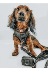 Sassy Woof 'Baby got Black' Dog Collar