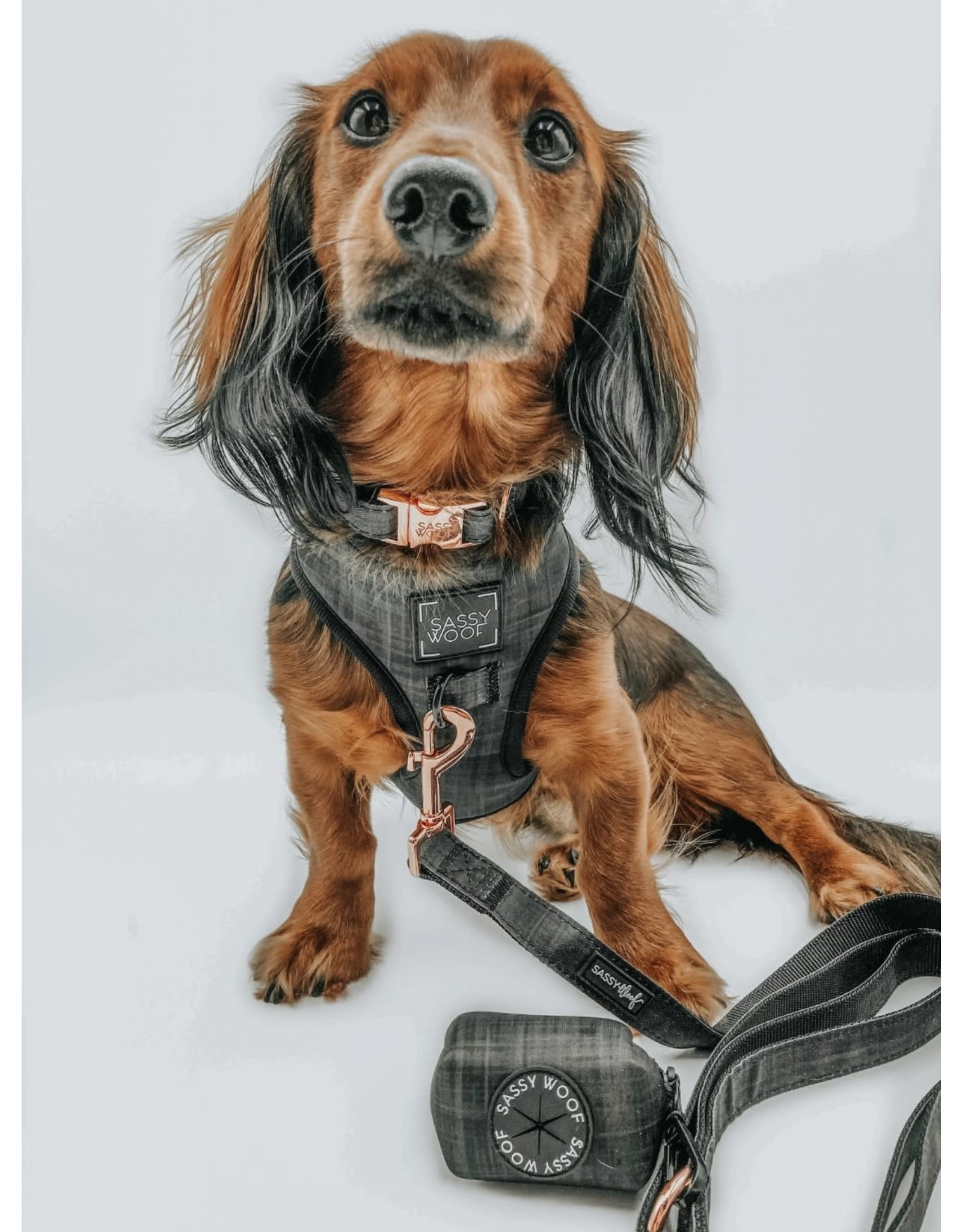 Sassy Woof 'Baby got Black' Dog Collar
