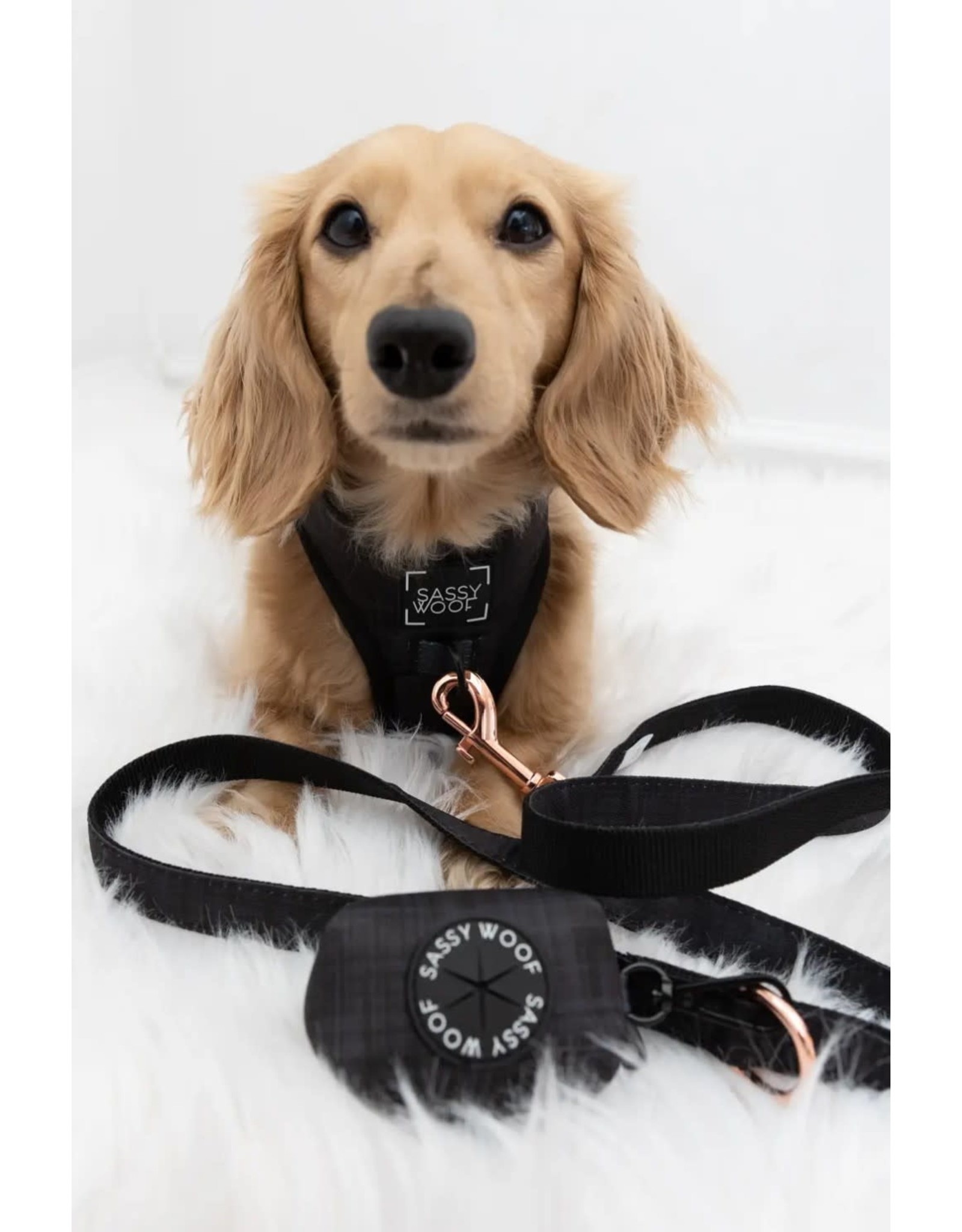 Sassy Woof 'Baby got Black' Dog Fabric Leash