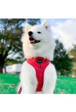 Sassy Woof 'Merlot' Adjustable Dog Harness