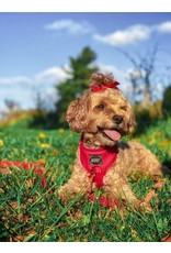 Sassy Woof 'Merlot' Adjustable Dog Harness