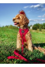 Sassy Woof 'Merlot' Dog Fabric Leash