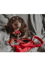 Sassy Woof 'Merlot' Dog Collar