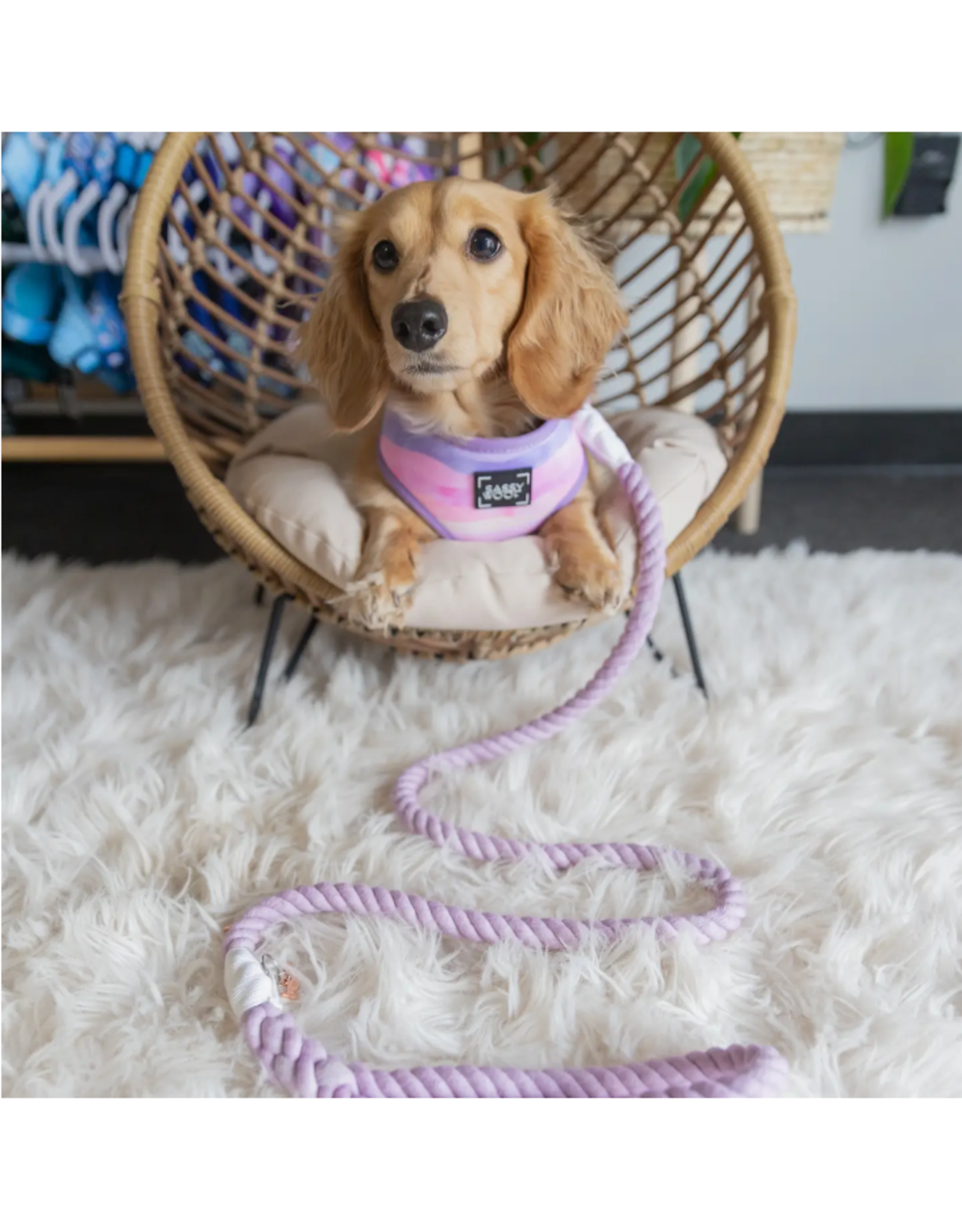 Sassy Woof Dog Rope Leash - Lavender