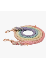 Sassy Woof Hands-Free Dog Rope Leash - Rainbow Bright