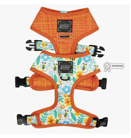 Sassy Woof Dog Reversible Harness - Must Be the Honey