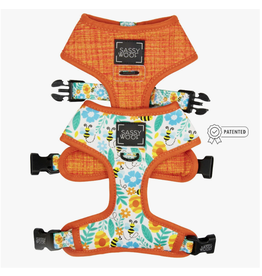 Sassy Woof 'Must Be the Honey' Dog Reversible Harness