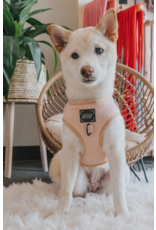 Sassy Woof 'Pinot' Dog Adjustable Harness