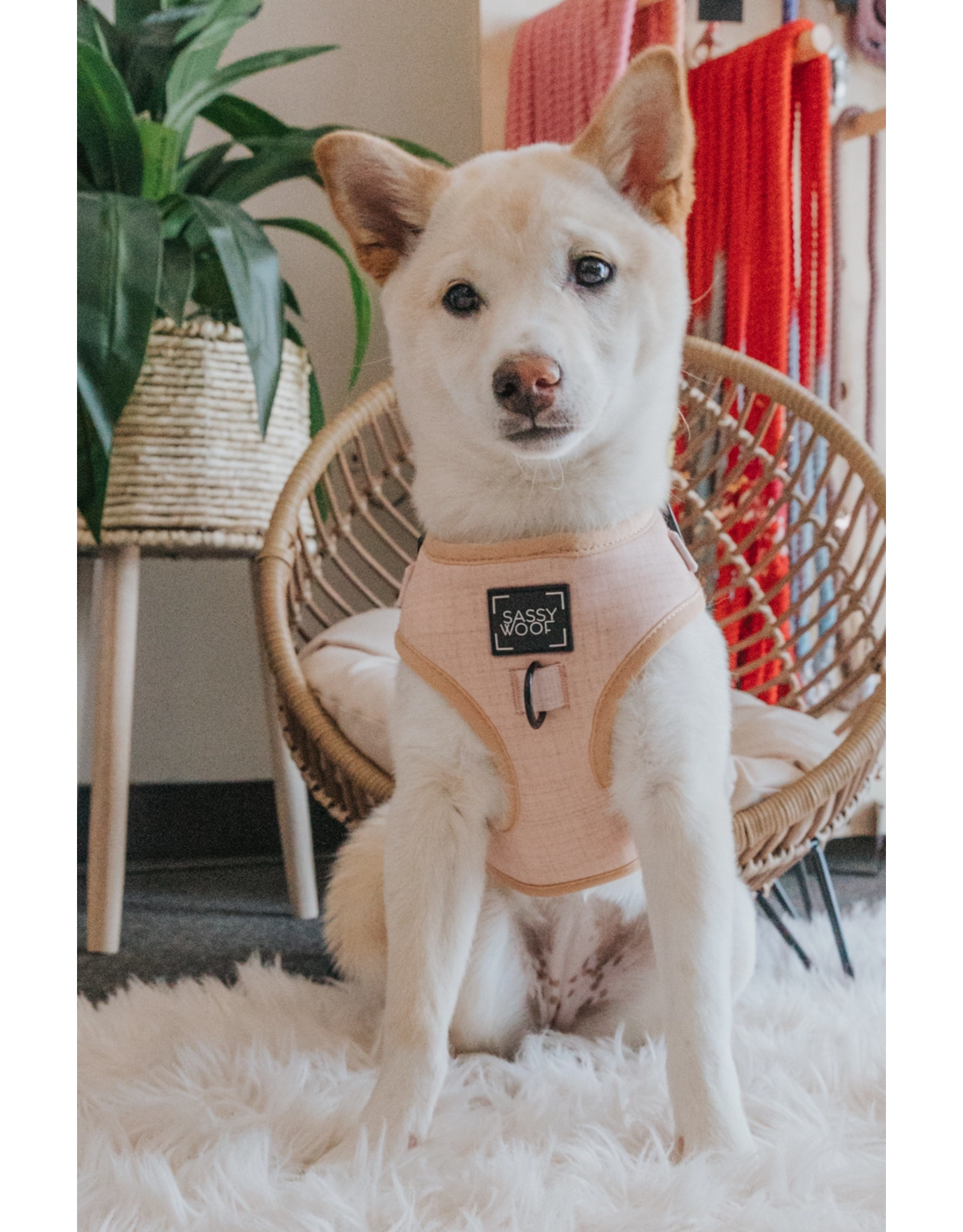 Sassy Woof 'Pinot' Dog Adjustable Harness