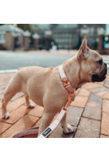 Sassy Woof 'Pinot' Dog Collar