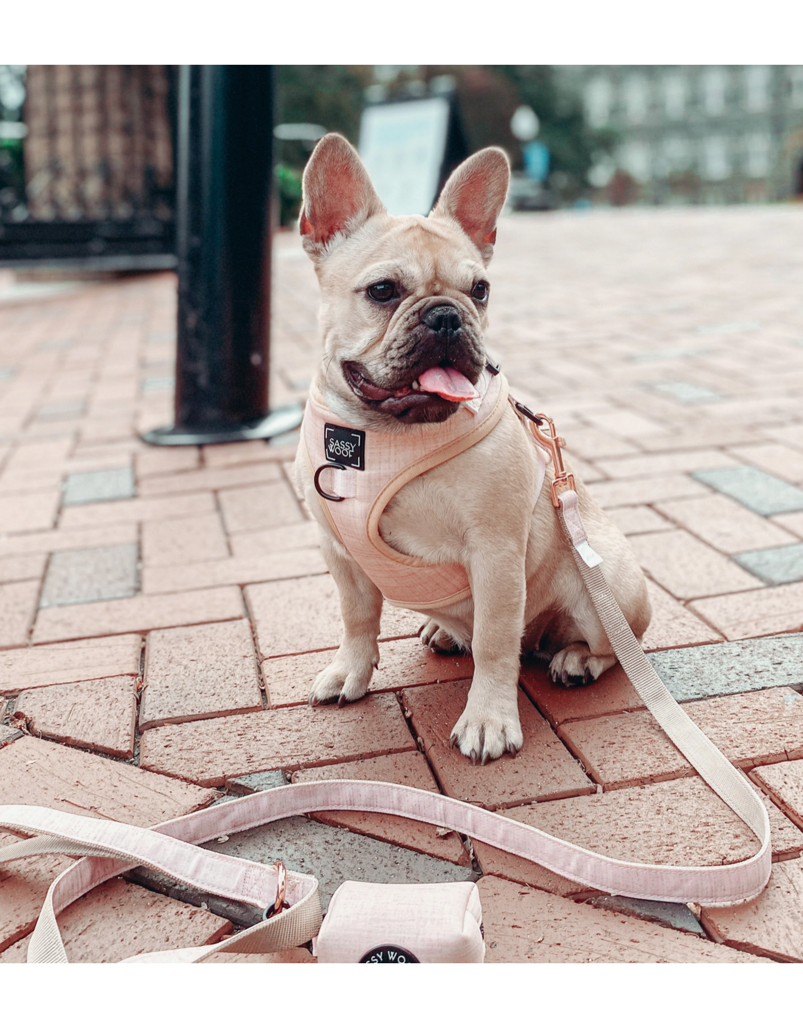 Sassy Woof Dog Leash - Pinot