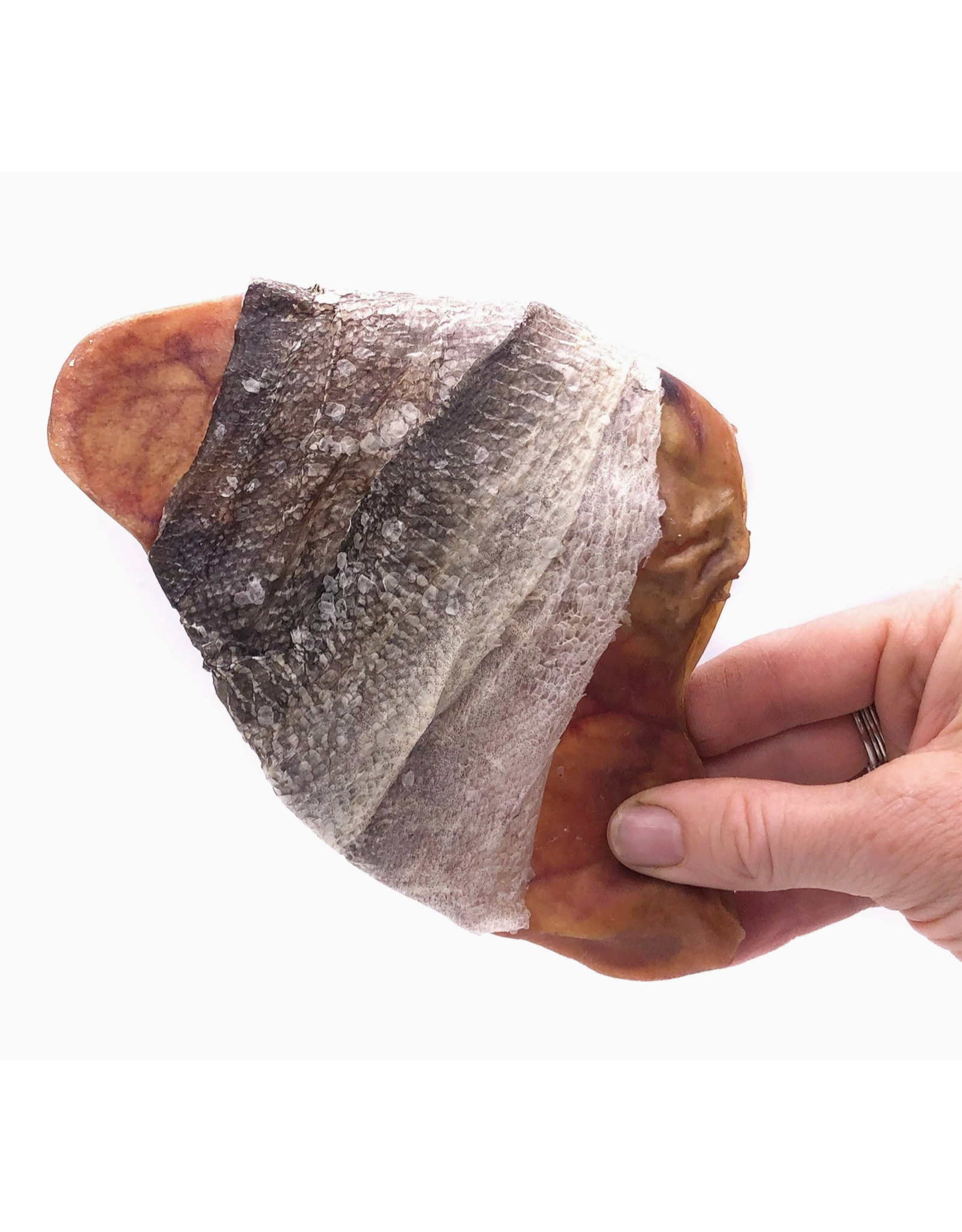 Icelandic+ Icelandic+ Fish Ears - Cod Skin Wrapped Pig Ear Dog Treat