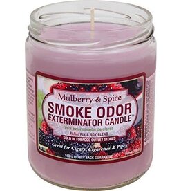 Pet Odor Candles Pet Odor Exterminator Mulberry & Spice Deodorizing Candle