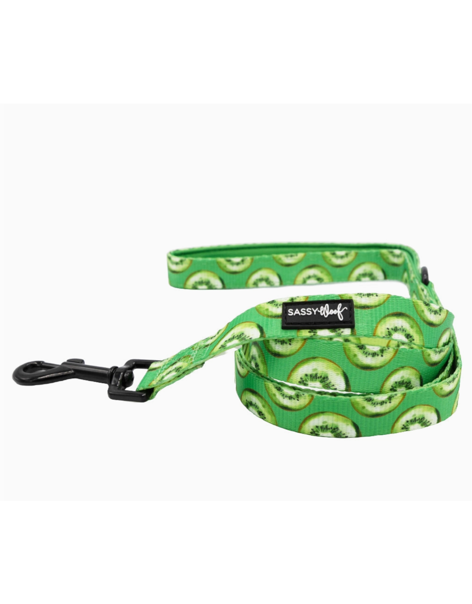 Sassy Woof 'Kiwi Krazy' Dog Leash