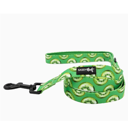 Sassy Woof 'Kiwi Krazy' Dog Leash Sassy Woof 'Kiwi Krazy' Dog Leash