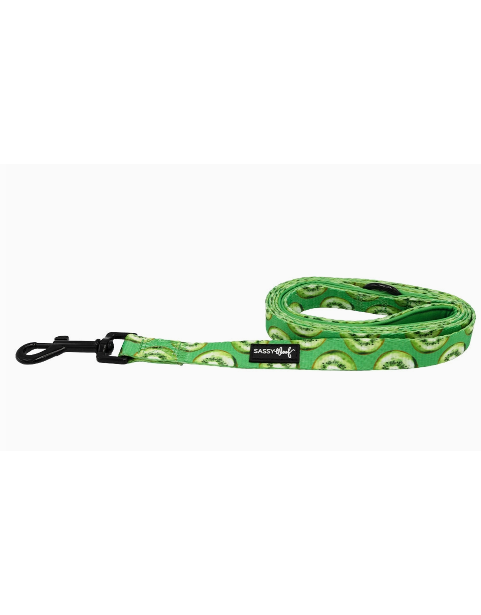 Sassy Woof 'Kiwi Krazy' Dog Leash