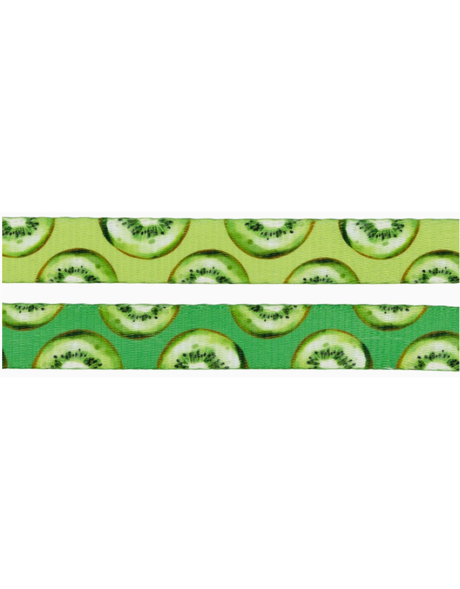 Sassy Woof 'Kiwi Krazy' Dog Leash