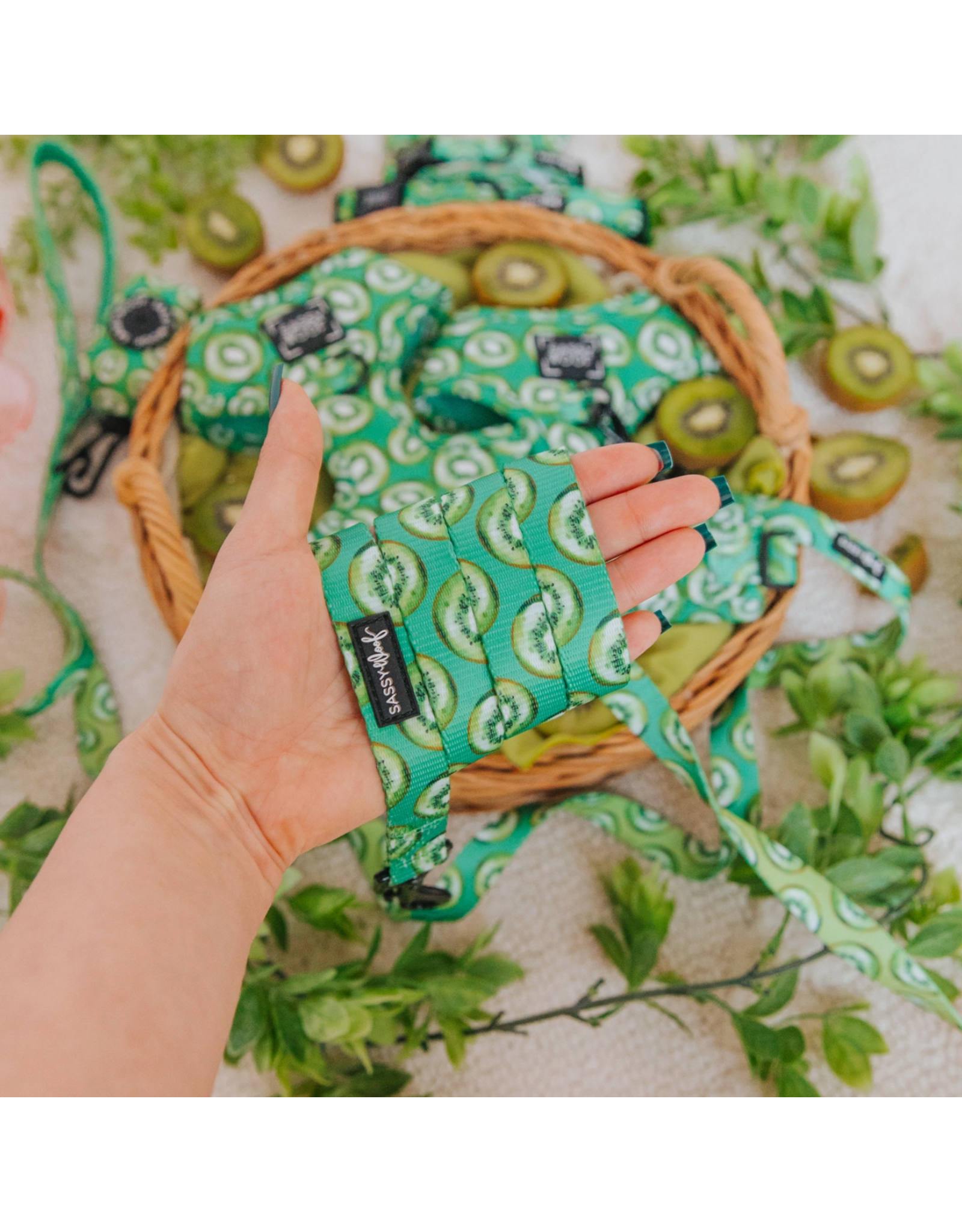 Sassy Woof 'Kiwi Krazy' Dog Leash