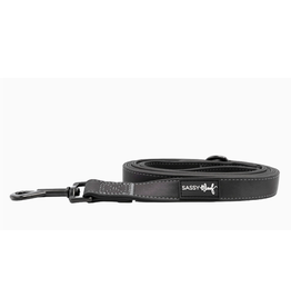 Sassy Woof Dog Leash - Reflection