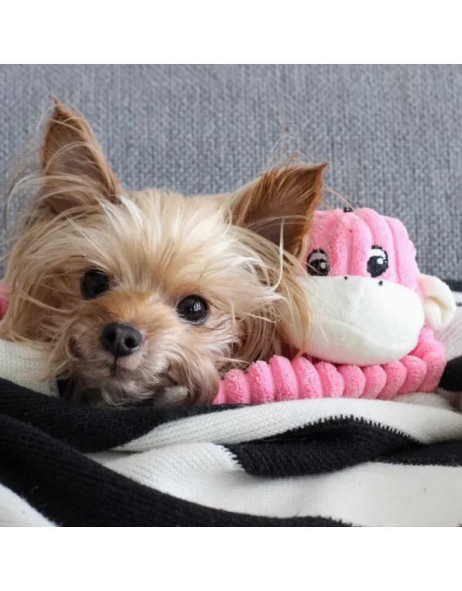 Pet Pallete Zippypaws Spencer Crinkle Monkey Pink Small