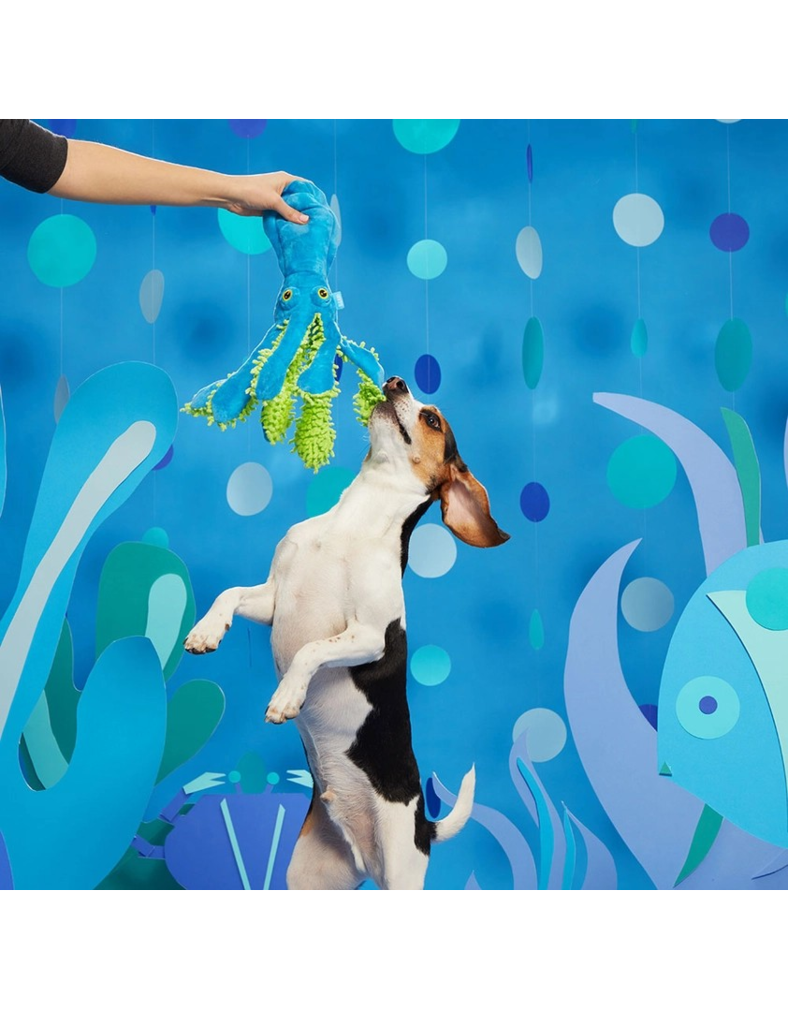 Pet Pallete Bark Shifty Sid the Squid