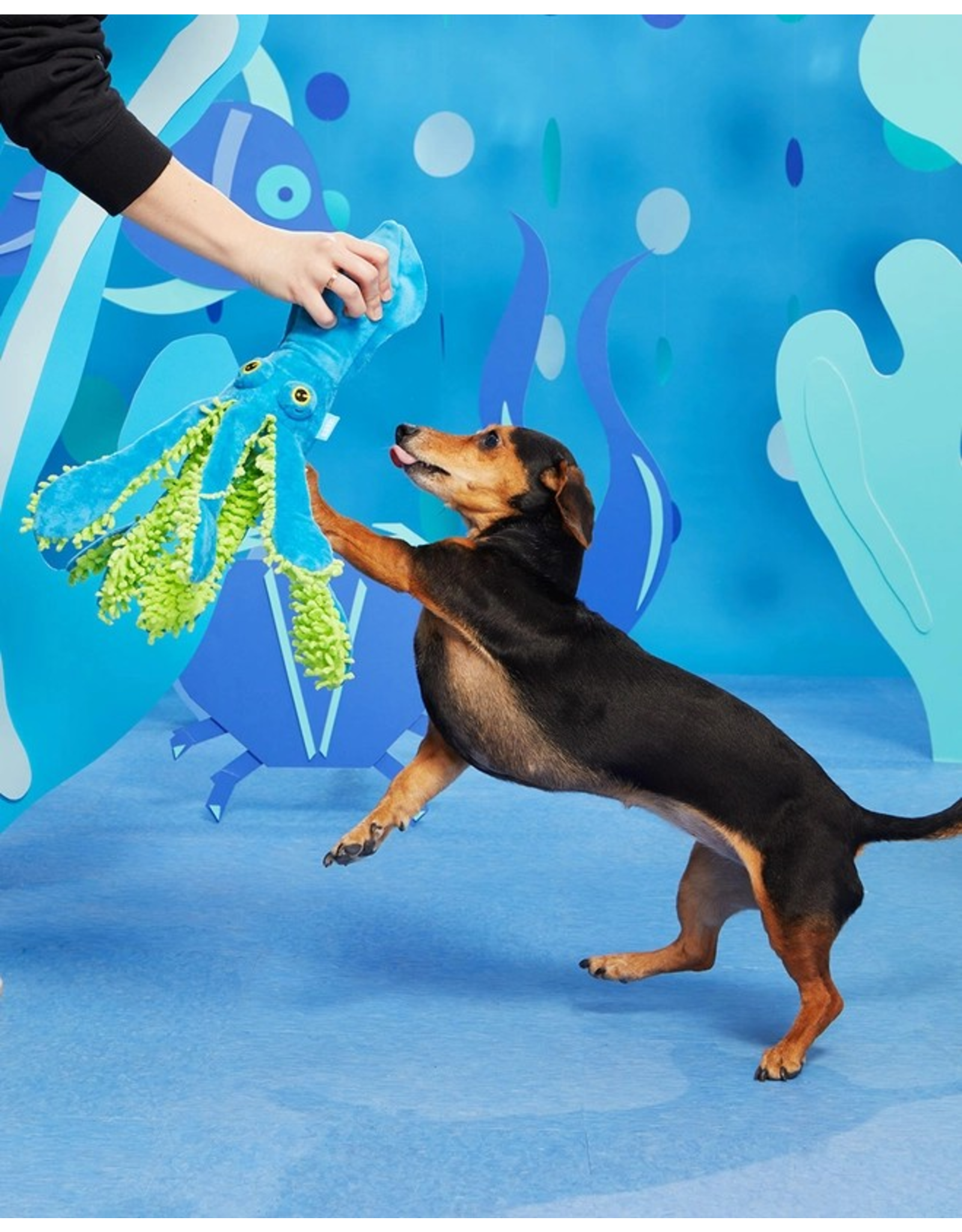 Pet Pallete Bark Shifty Sid the Squid