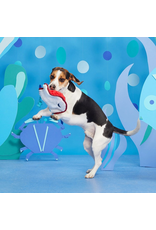 Pet Pallete Bark Sting Crosby the Ray