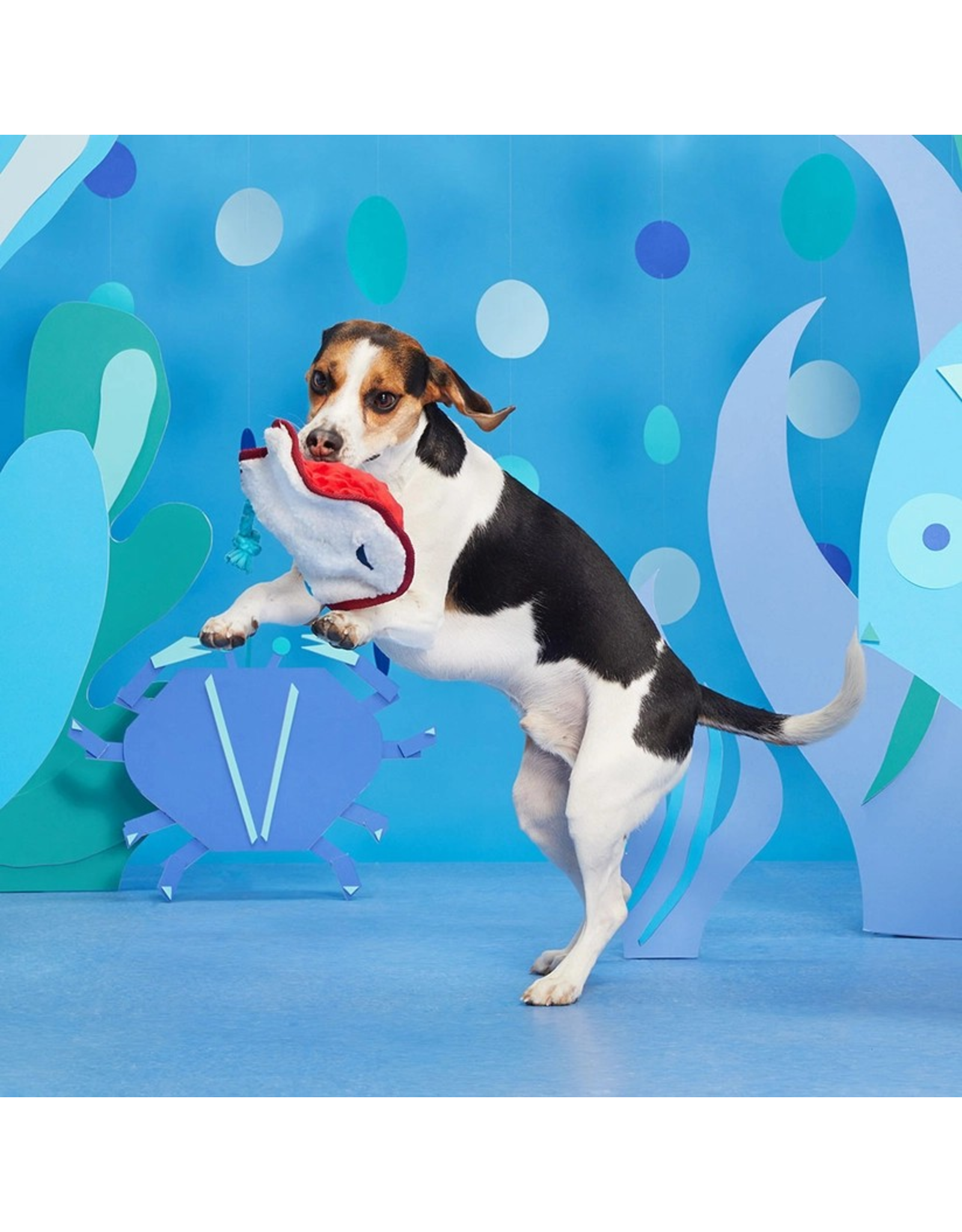 Pet Pallete Bark Sting Crosby the Ray