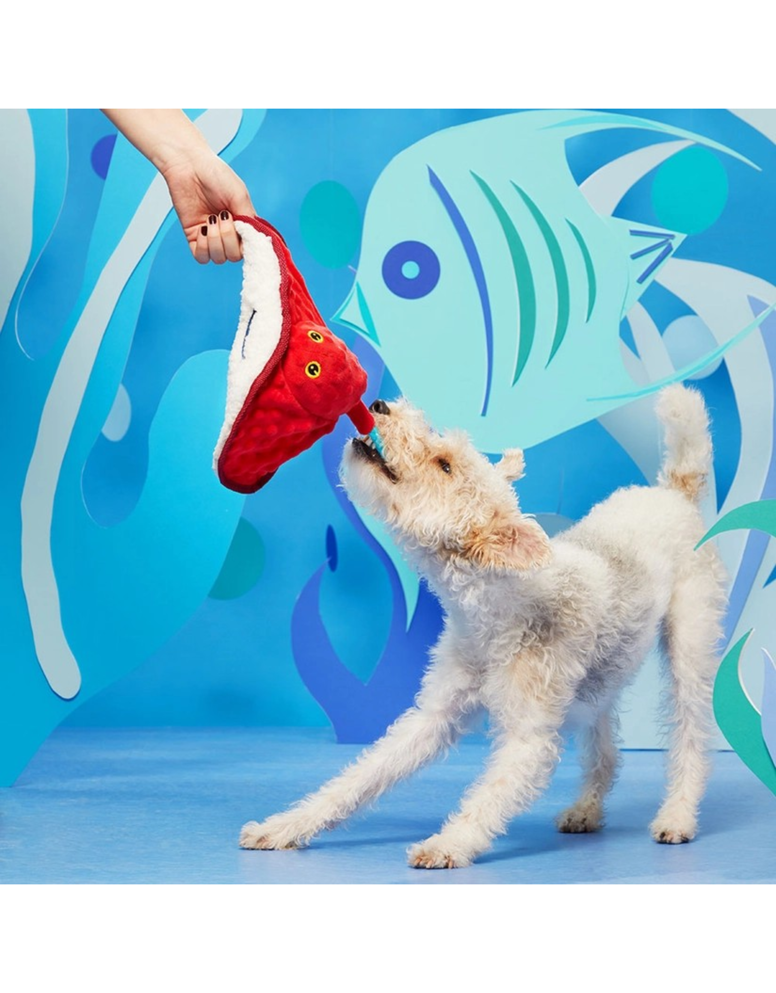Pet Pallete Bark Sting Crosby the Ray