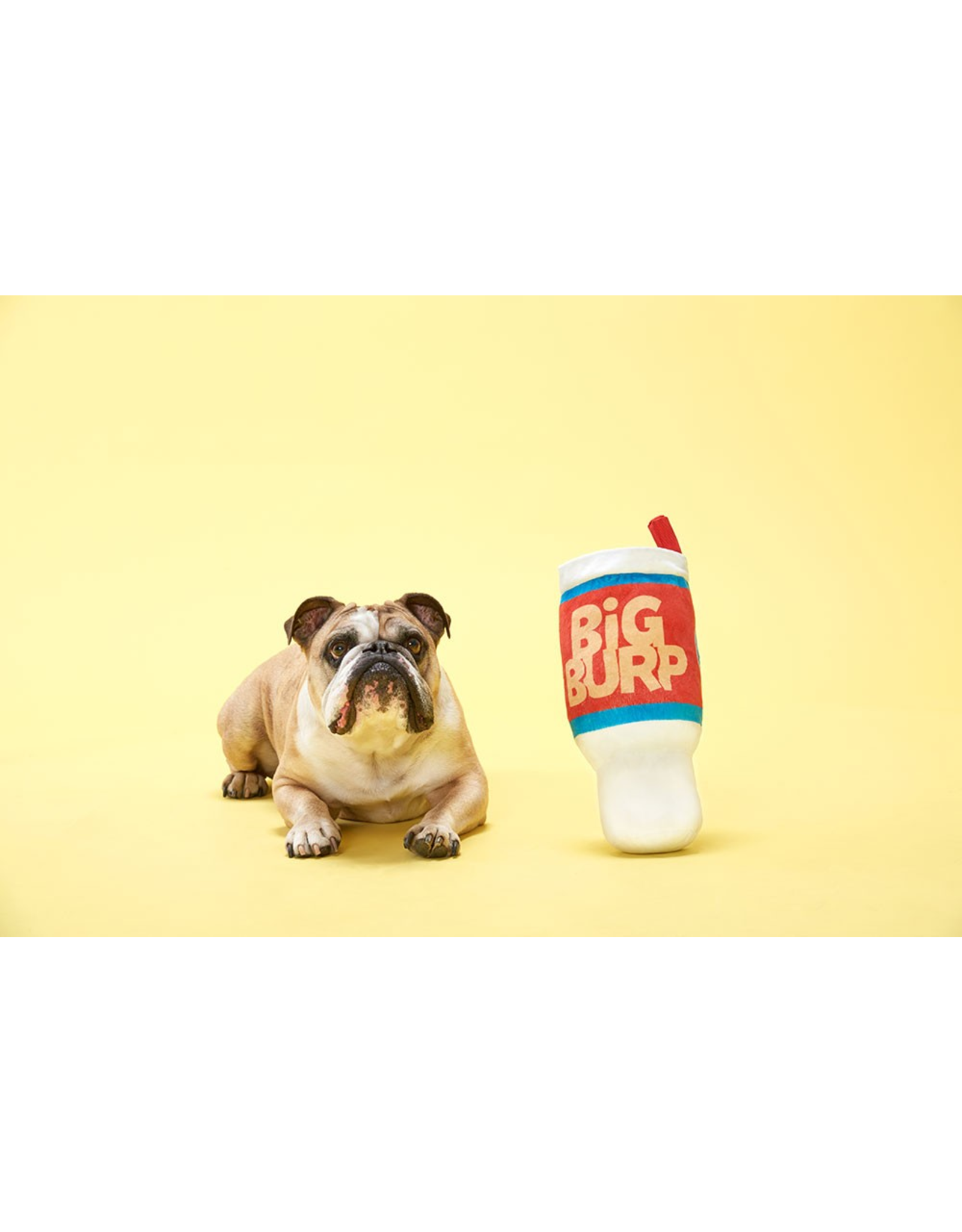 Pet Pallete Bark Big Burp Slurp