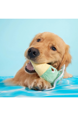 Pet Pallete Bark Melty Minty Monty Plush Dog Toy