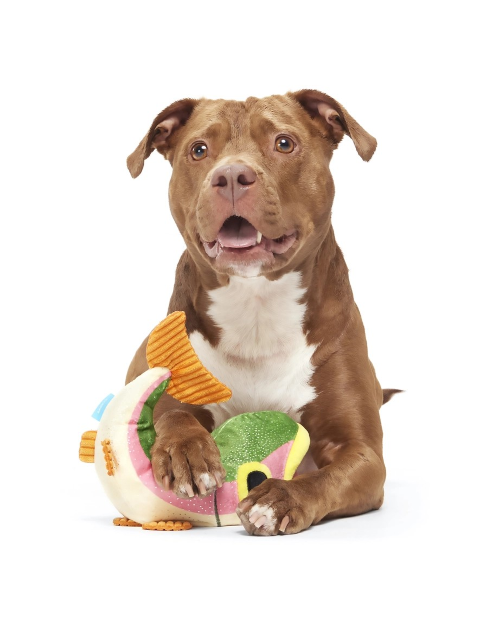 Pet Pallete Bark Brooke Trout Plush Dog Toy