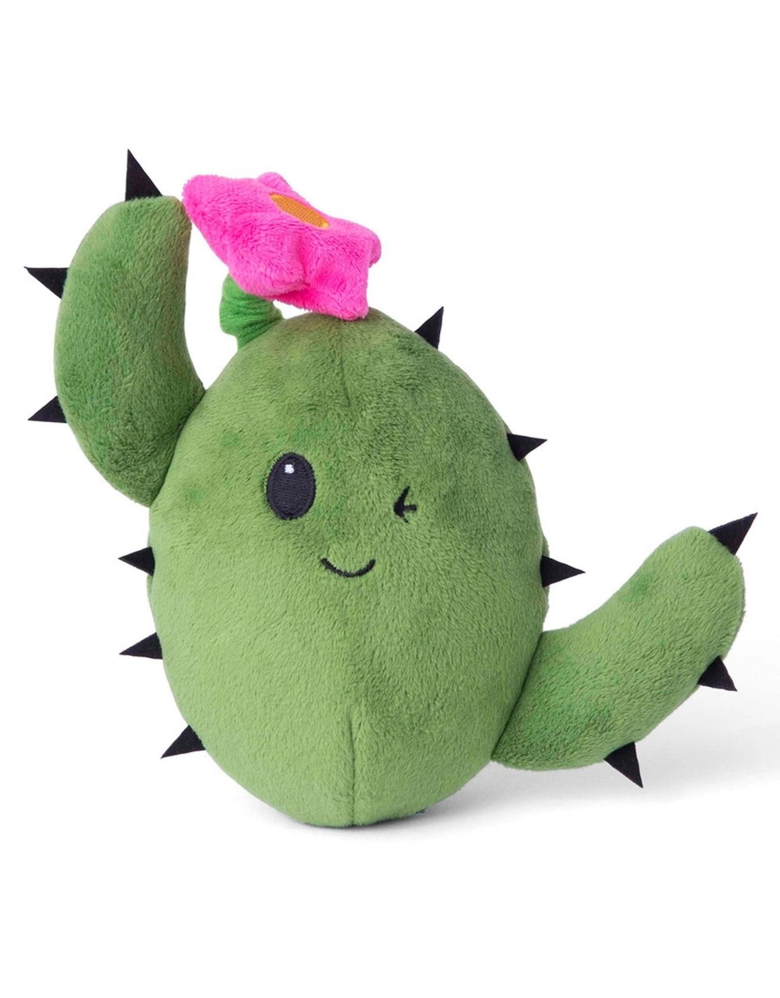 Pet Pallete Bark Consuela the Cactus