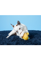 Pet Pallete Bark Hair of the Dog