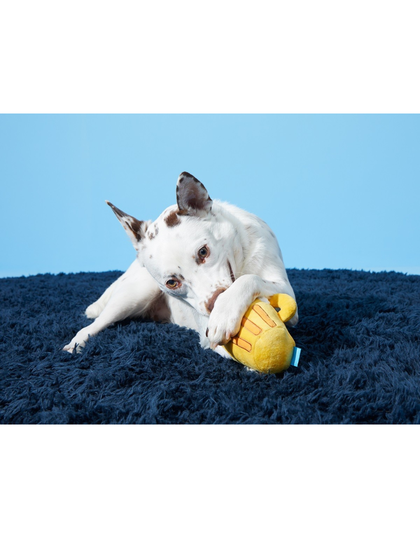 Pet Pallete Bark Hair of the Dog