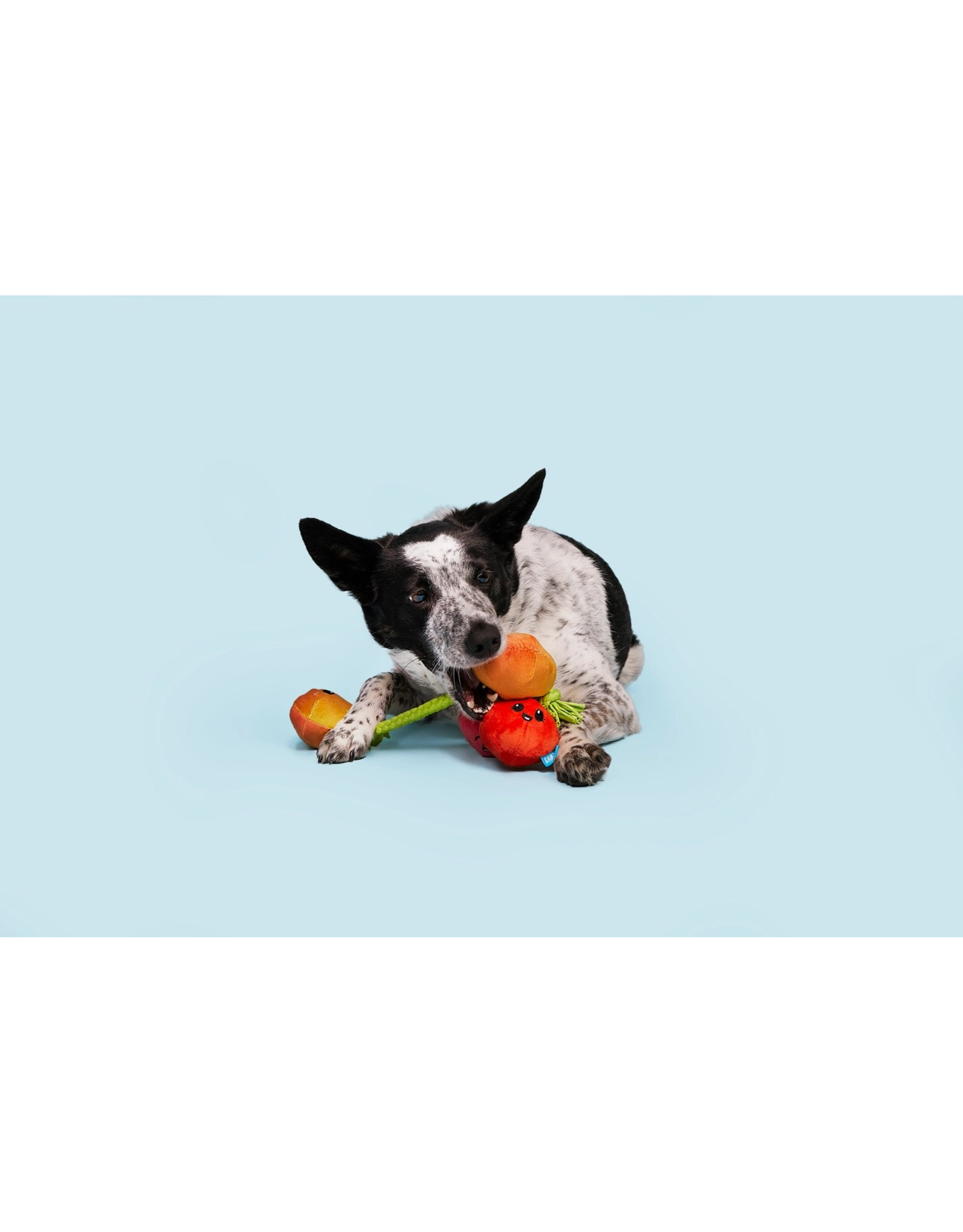 Pet Pallete Bark Hairloom Tomatoes Plush Dog Toy S/M