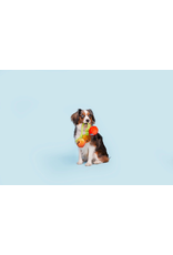 Pet Pallete Bark Hairloom Tomatoes Plush Dog Toy S/M